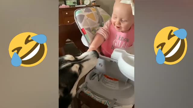 Cut baby and cut dog 🐶🐕 funny video 🤣🤣🤣