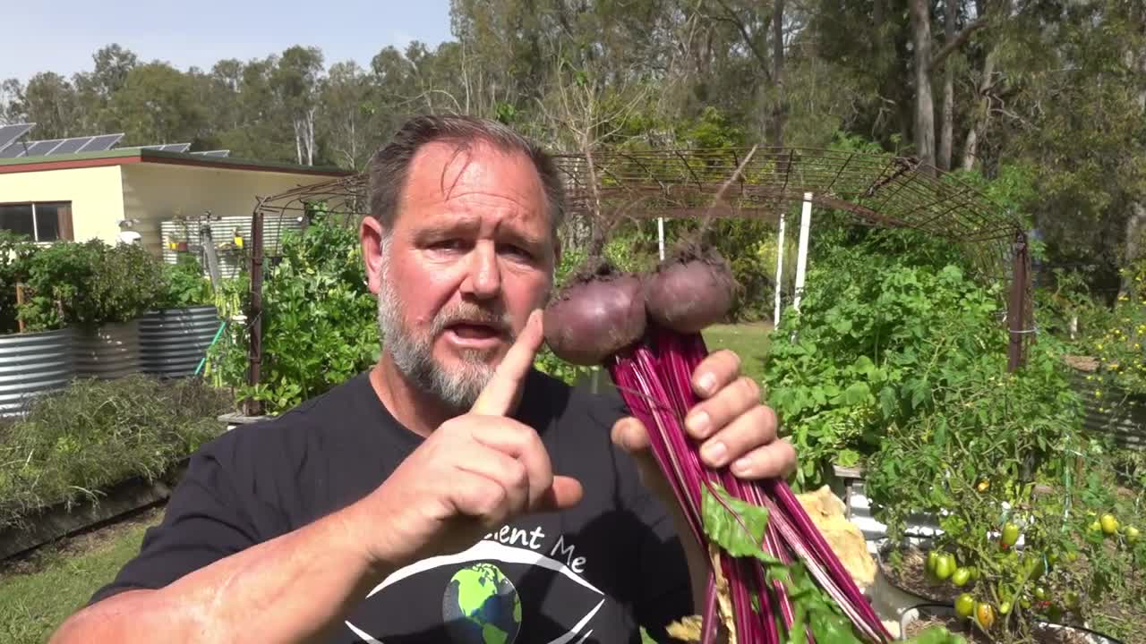 10 Vegetables You Should ALWAYS Grow