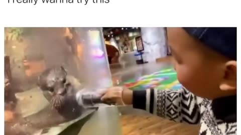 Cute animal with cute kid