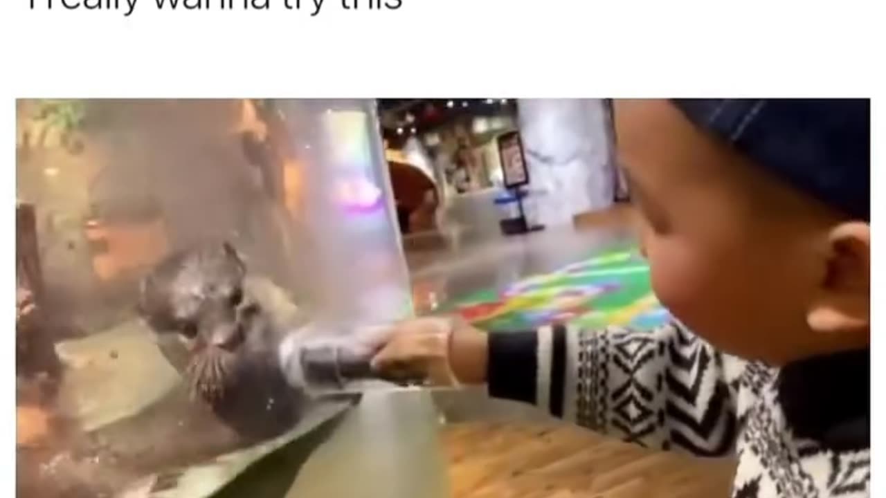 Cute animal with cute kid