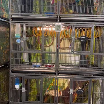 I’m excited about the new cages that came in making this project almost