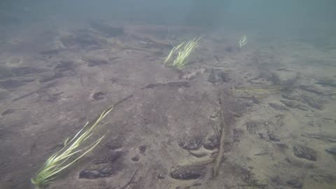 Underwater Adventure