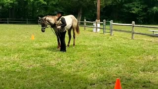 Chilly's First Show