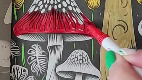 Mushrooms at Midnight Coloring Book