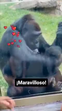 Show me your baby and I'll show you mine!