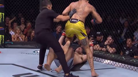 Top UFC Finishes