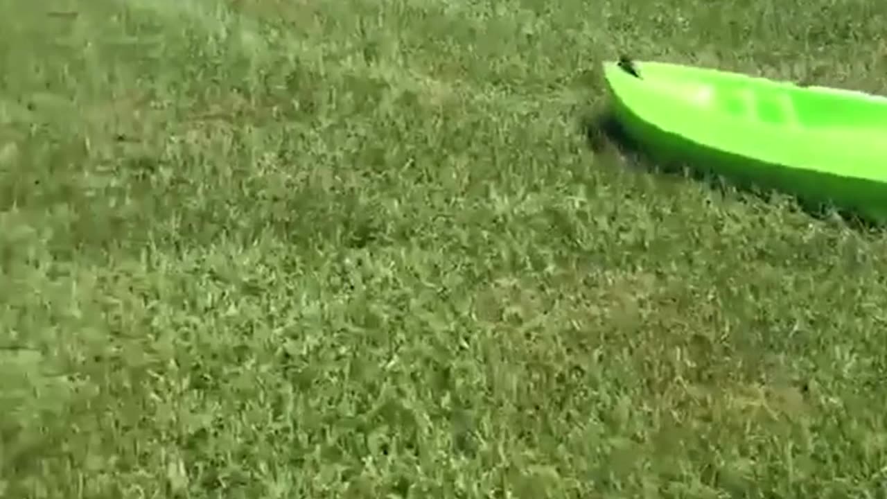 The end 😂😂😂 #funny #fails #shorts #reels #viral #fail