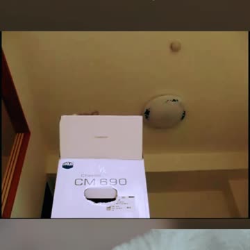 SHORT - Gato em SLOW MOTION saindo da Caixa