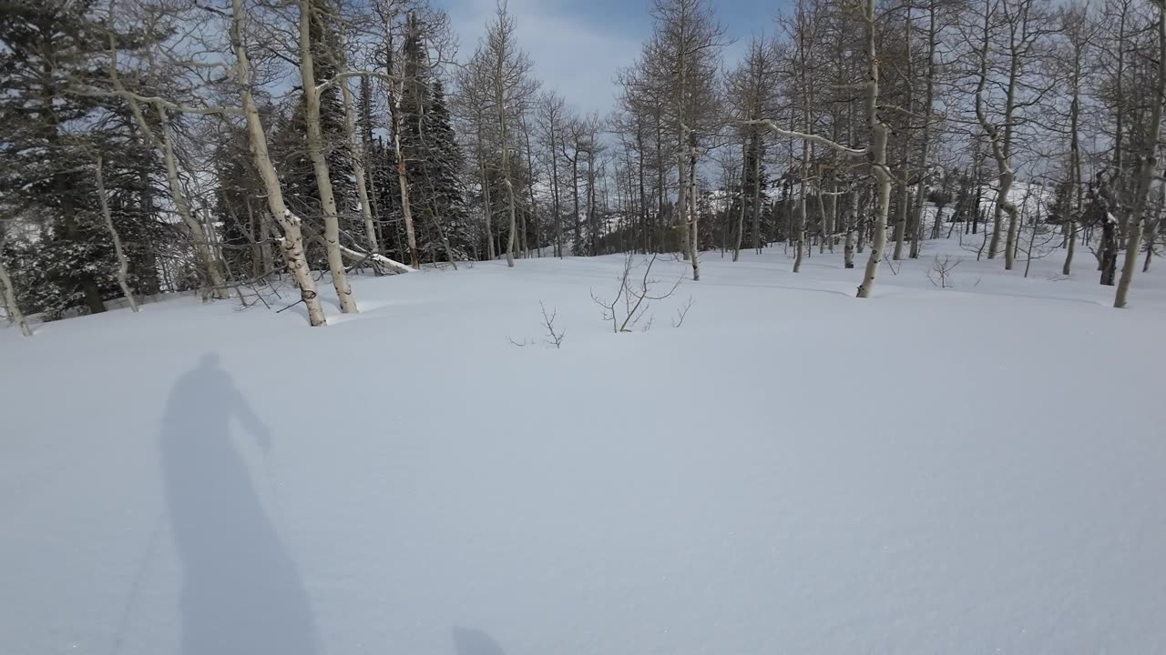 3/23 #2 To share the full experience of the ski adenture breaking trail