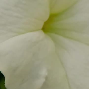 Find Your Calm: Discover How Relaxing This is! Volume 105v1