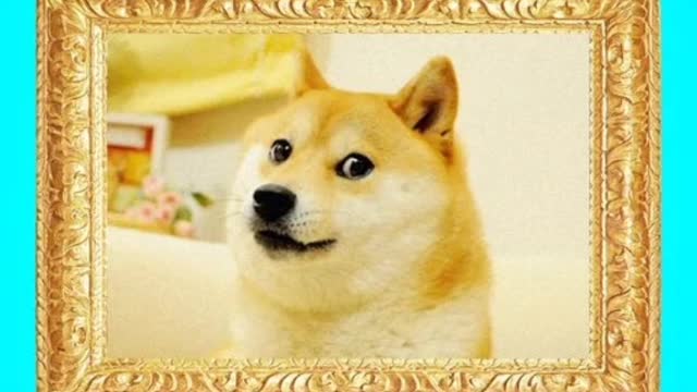 Doge ($4 Million)