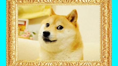 Doge ($4 Million)