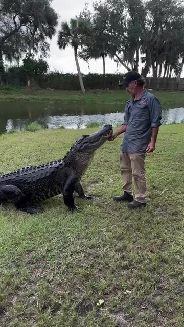 This guy is a legend.