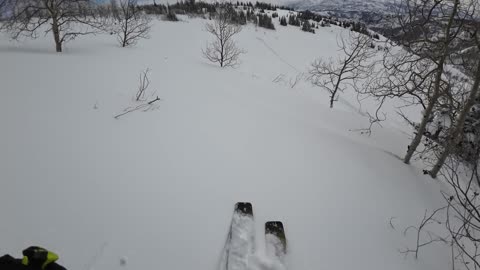 3/9 #8 Mary's Boundary