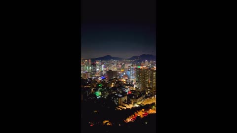 Seoul Night View