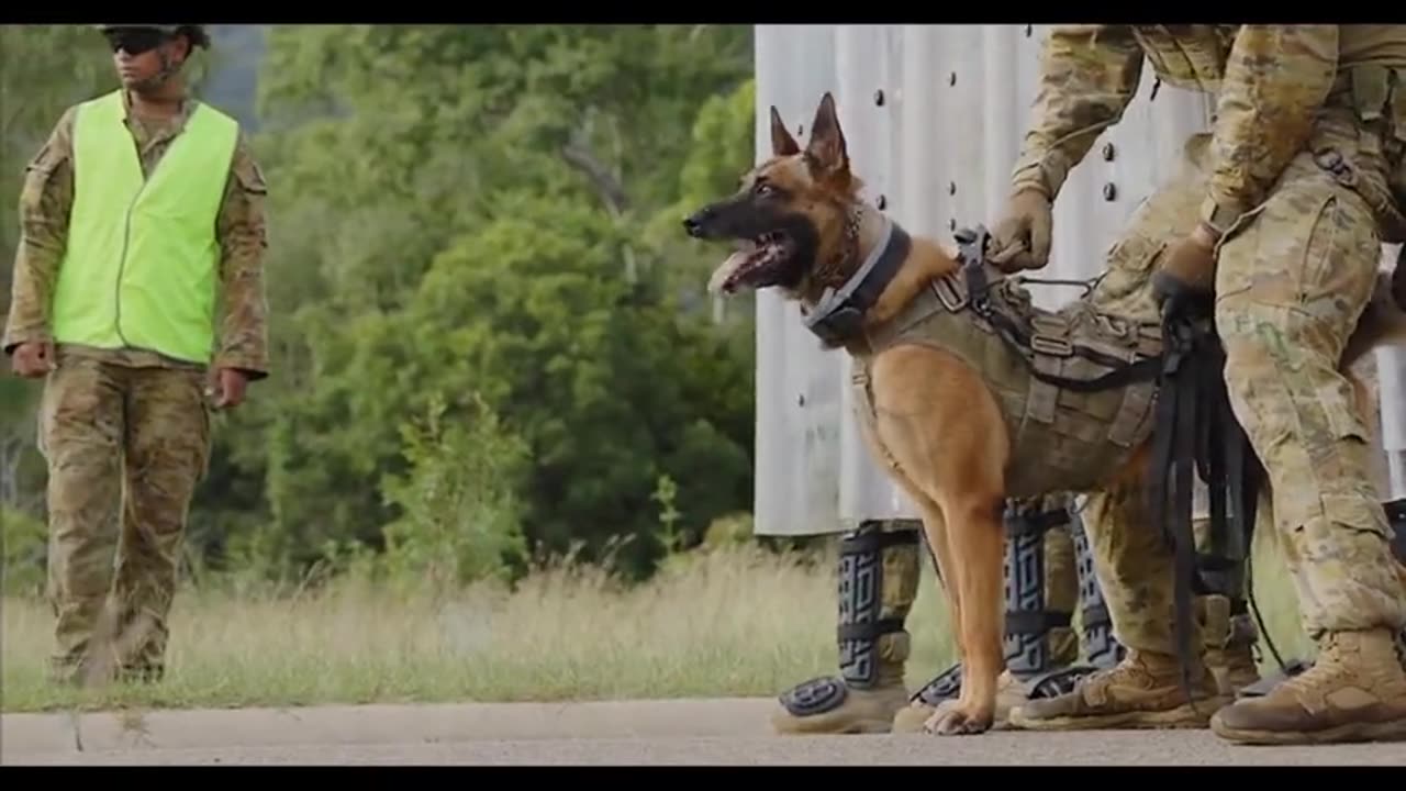 Australian Army Advertising Attacking Australian People