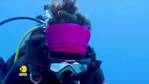 #Tahiti Scientists discover a pristine three-kilometre long reef of giant rose- shaped in Tahiti
