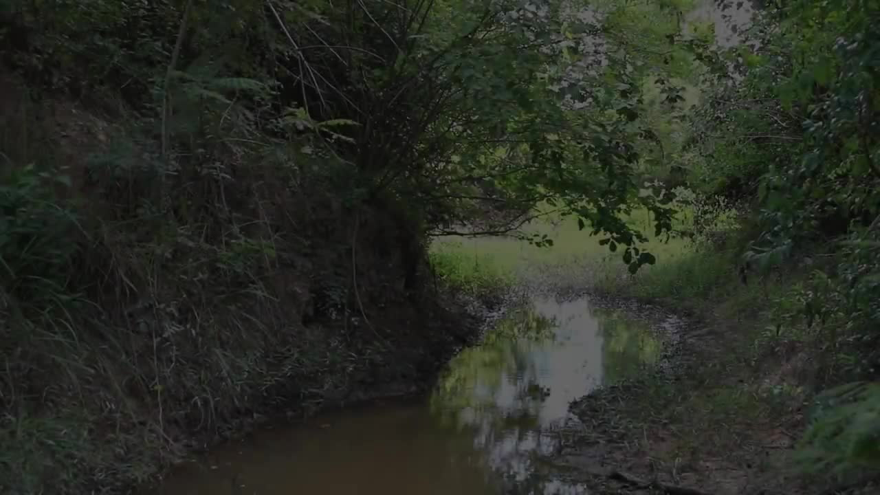 Build House Under The Cliff - Build Swimming Pool Using Bamboo