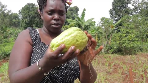 Cooking The Most Common African Tribal Foods - How To Cook