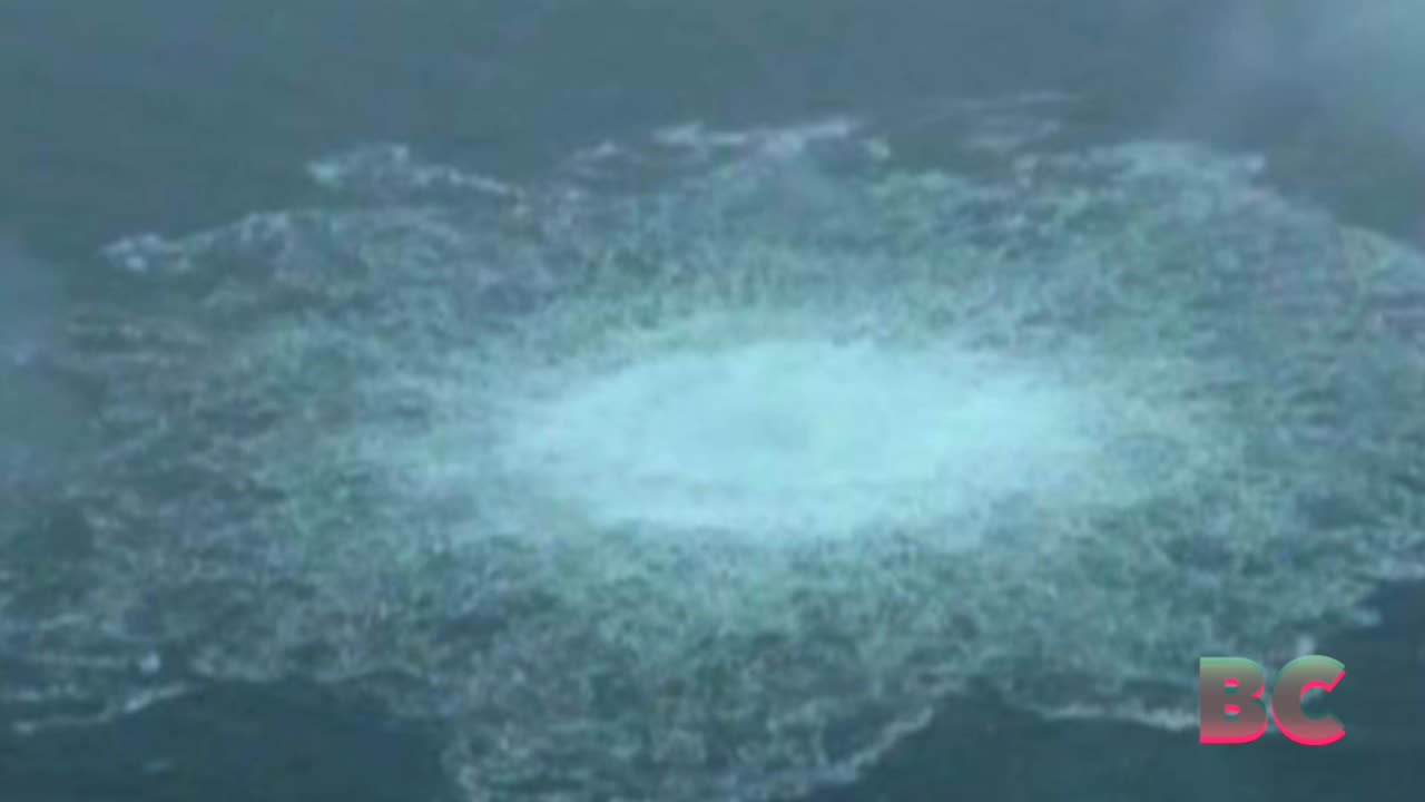 Ukrainian team blew up Nord Stream pipeline, claims report