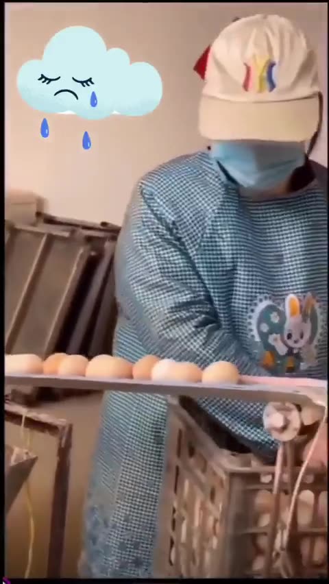 가짜 계란 공장.