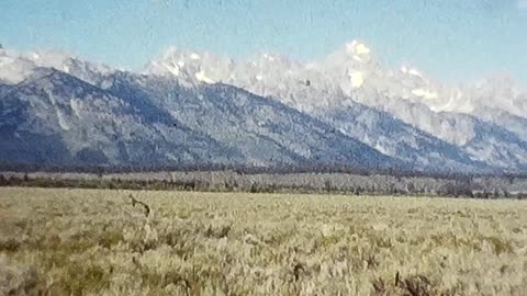 1971 Tetons & Yellowstone Vacation