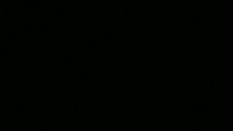 Dumb Lozah Urban Disciples Raging on Grandma Porch at 4 am pt 2