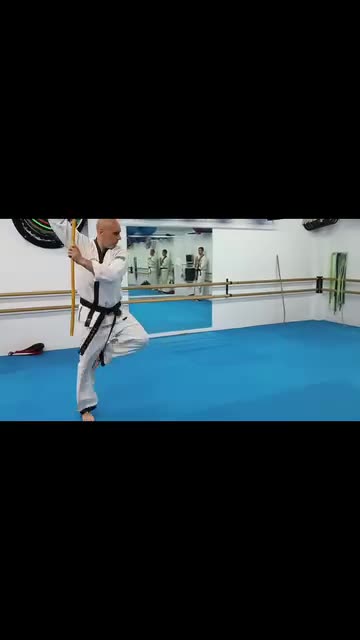 Hapkido