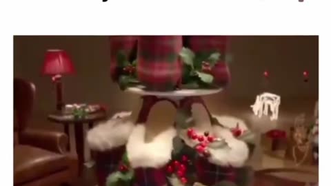 Cats Christmas🎄