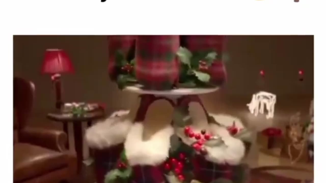 Cats Christmas🎄