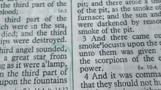 Killer hornets 🐝 or locust John spoke about? Part 3️⃣
