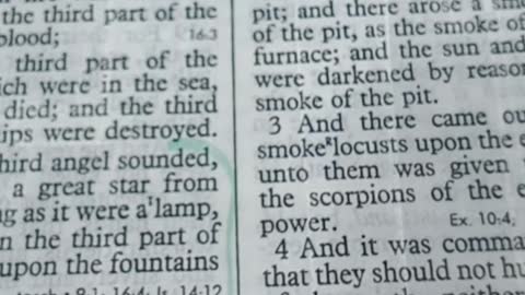Killer hornets 🐝 or locust John spoke about? Part 3️⃣