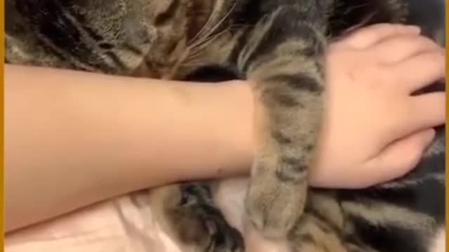 Funny Animals -3