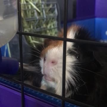 Someone was thirsty...