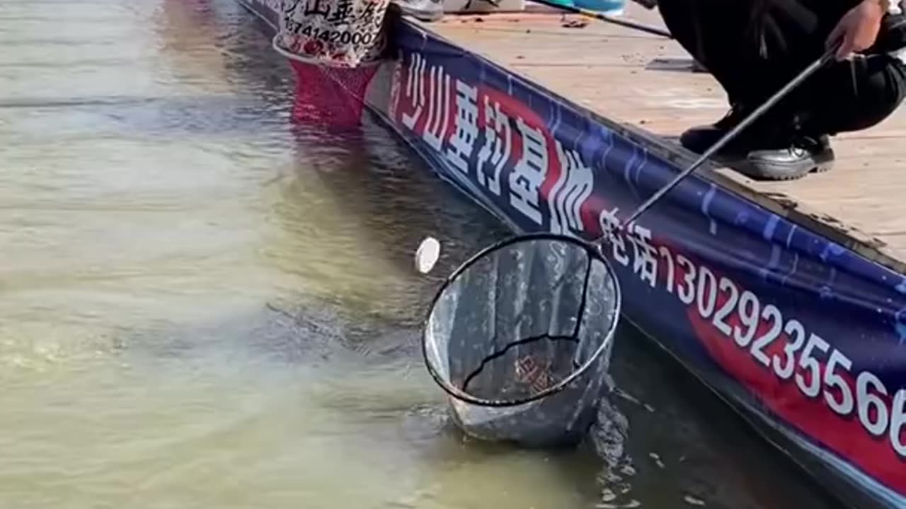 The best Asian fishing