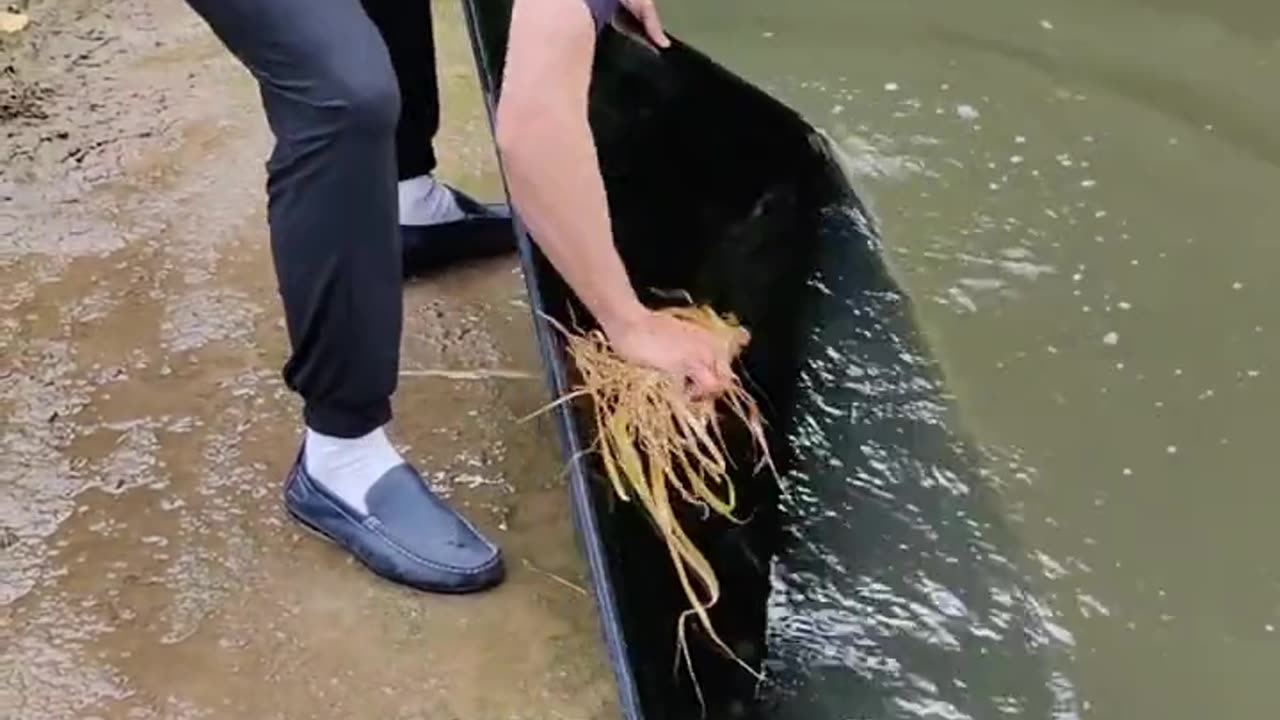 Chinese funny man wash tv hhhhh