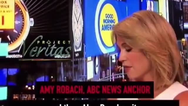 ABC Anchor Was Told To Hide The Jefferey Epstein And Ghislaine Maxwell Story