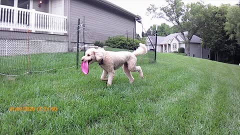 Bent Tree Baxter Strong2