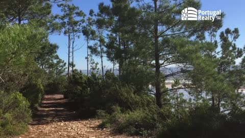 🇬🇧 New build modern villas in Salir do Porto | Silver Coast | Portugal Realty