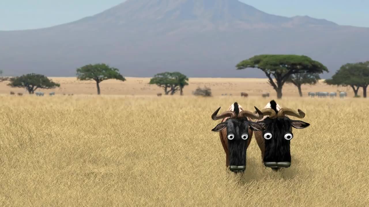 Savanna version - Wildebeest from Birdbox Studio