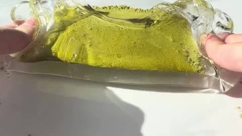 Adding Matcha to SLIME 🍵