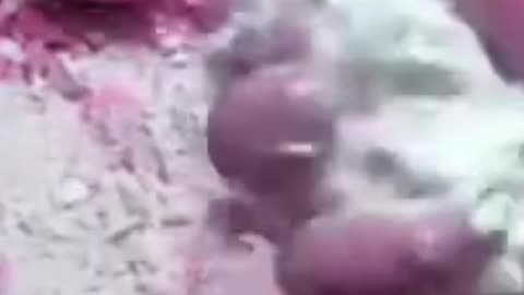 asmr
