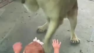 Cute little girl with a lion