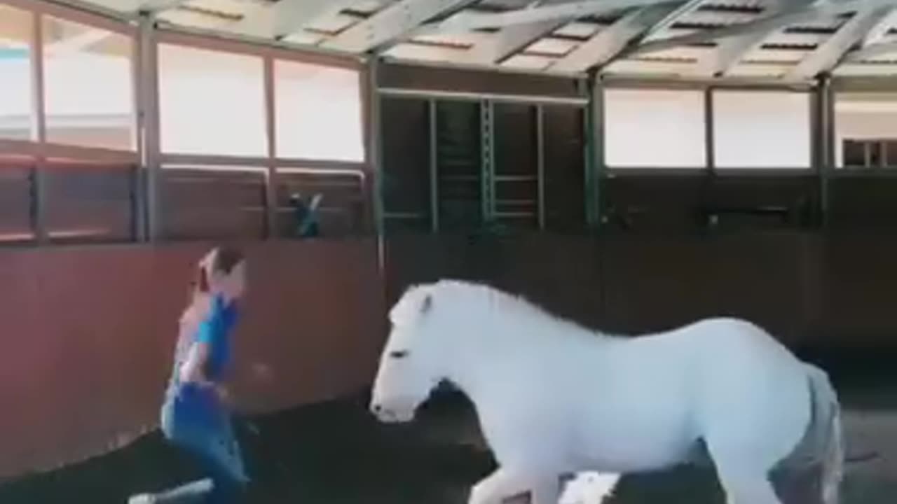 Funny 😁 🐎
