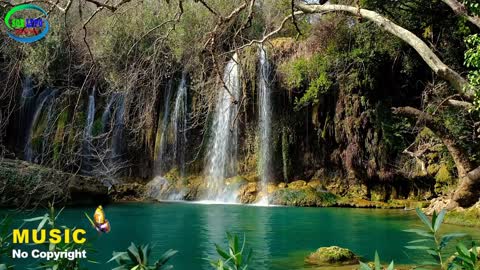 Relaxing Music | Sleeping, Meditation, Stress Relief | [1628] ⭐️