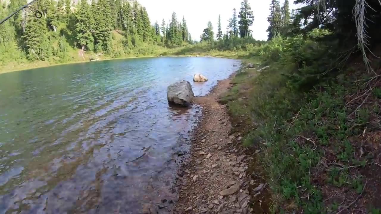 ULTRA REMOTE Trout Catch & Cook!!! ALPINE Mountain Fishing Adventure...