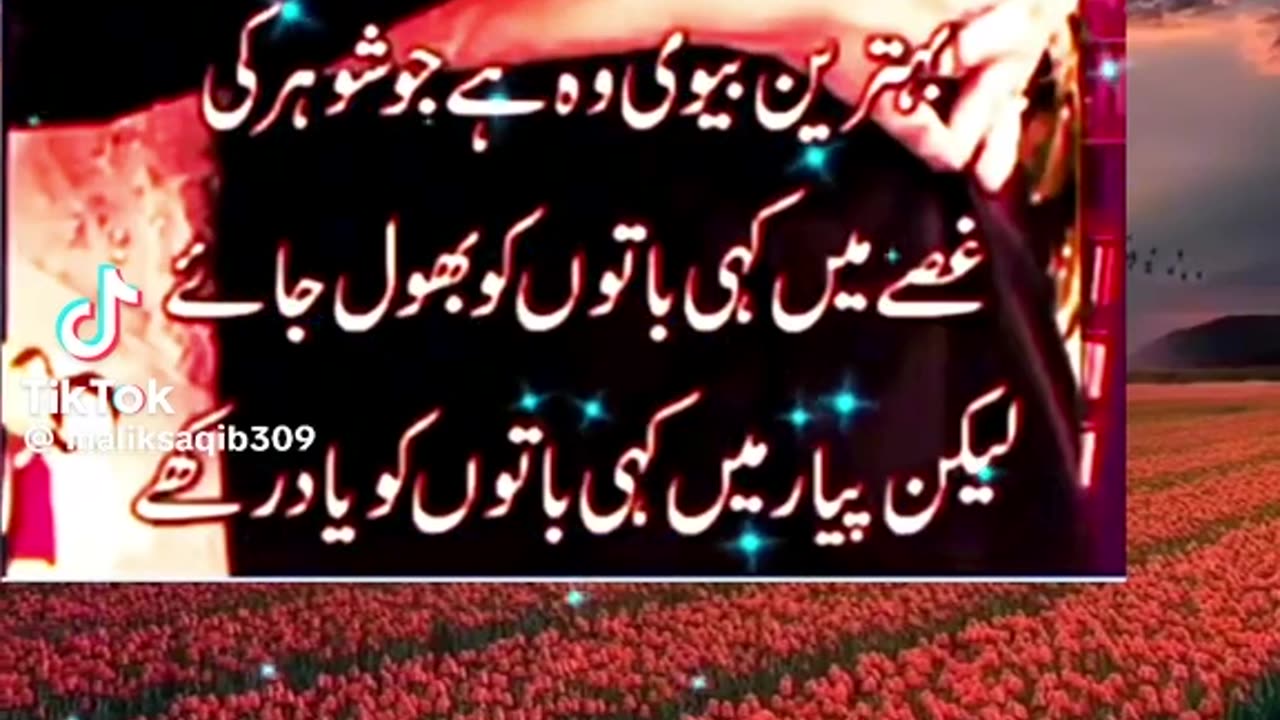 Husband wife relation video