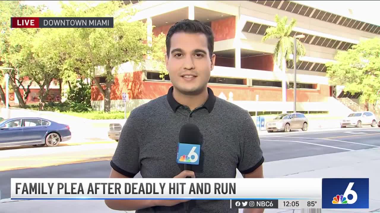 Search Is on For Driver in Deadly Hit-And-Run in Miami