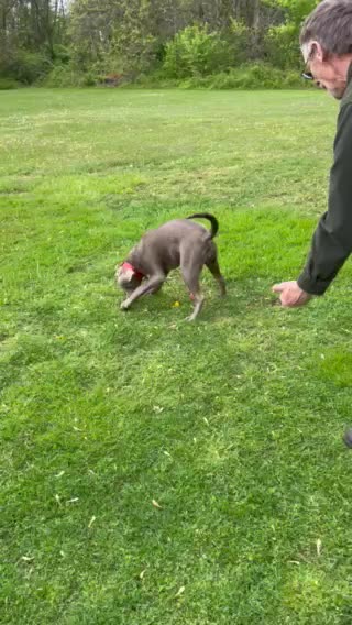 Jossie and the fumble