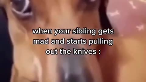 Memes that will make you lol part 19